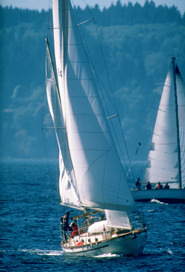 Photo of the yahts on the water